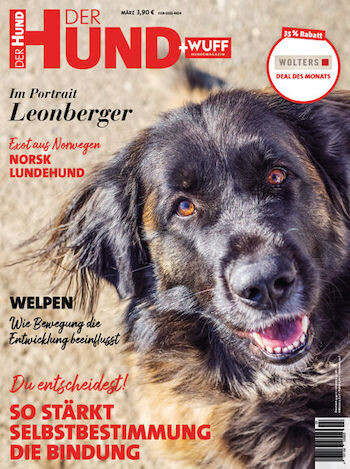 Zeitschrift Der Hund Abo